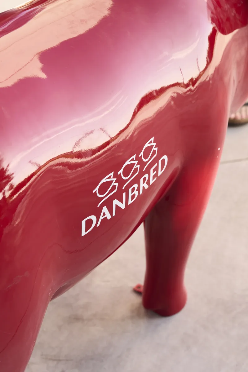 danbred portretten
