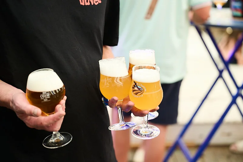 vanuxeem feest van le gheer